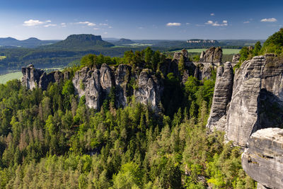 Panoramic view of trees and rocks