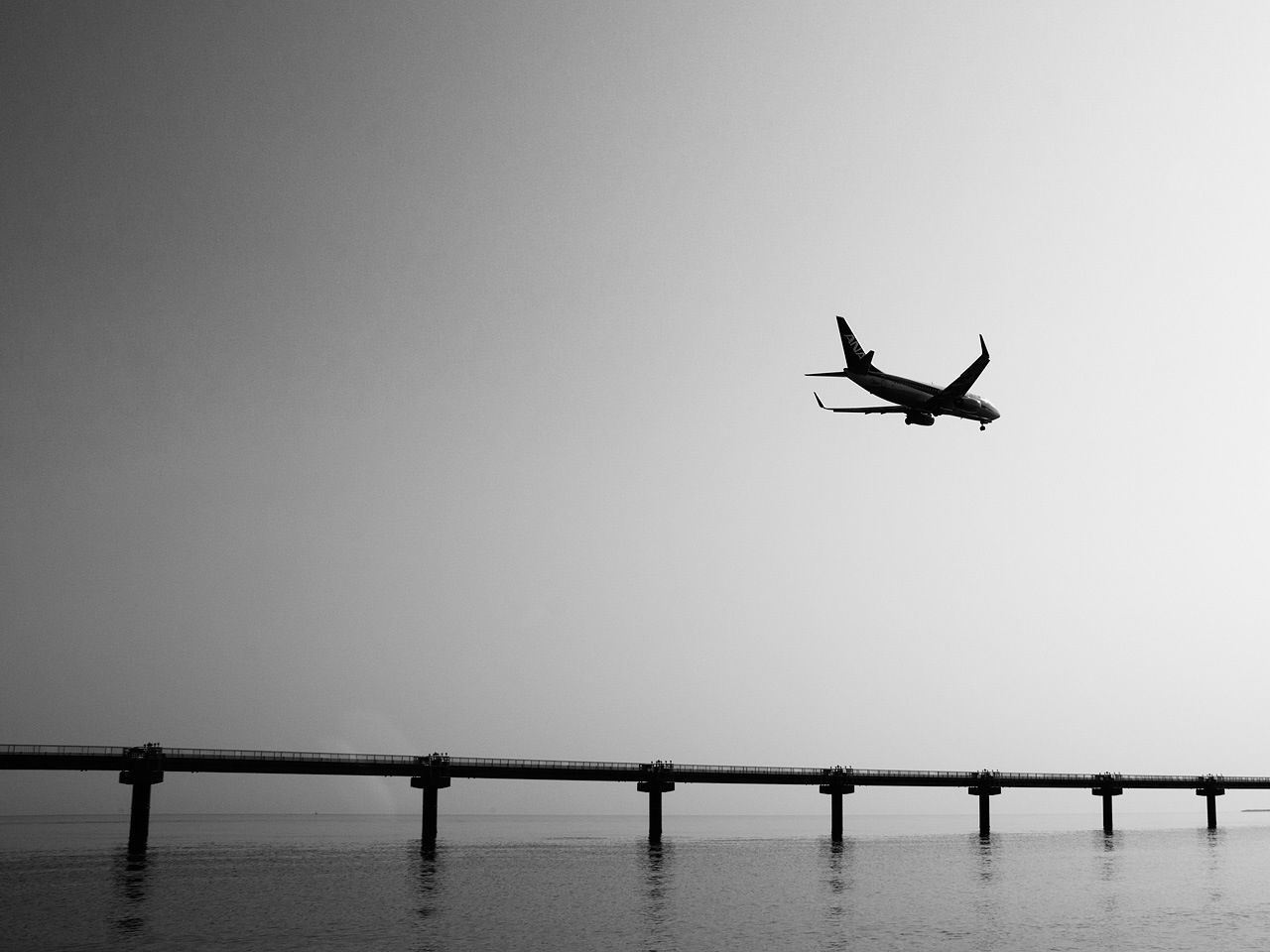 clear sky, bird, copy space, flying, animal themes, silhouette, wildlife, mid-air, water, connection, animals in the wild, transportation, spread wings, waterfront, low angle view, full length, bridge - man made structure, one animal, built structure, outdoors