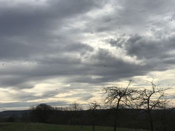 Silhouette bare trees on field against sky