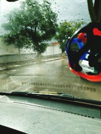 Close-up of car window