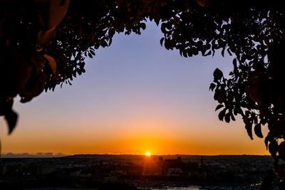 Silhouette trees against sky during sunset in city