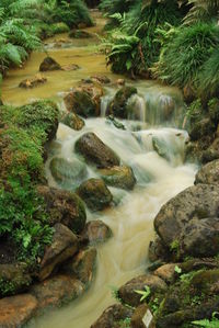 Scenic view of waterfall