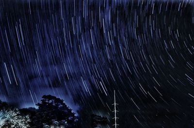 Low angle view of star field against sky at night