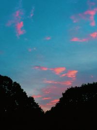 Silhouette of trees at sunset