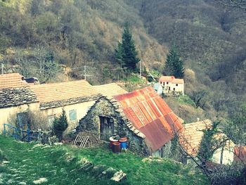 Houses with trees in background