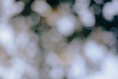 Defocused image of blurred background