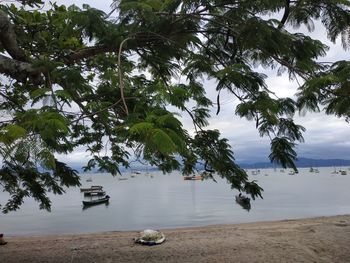 View of beach against sky