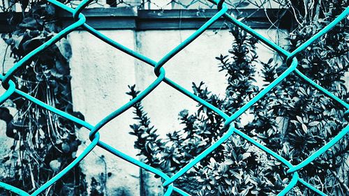 Close-up of chainlink fence