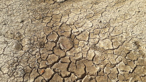 Full frame shot of cracked land