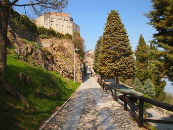 Walkway amidst trees against sky