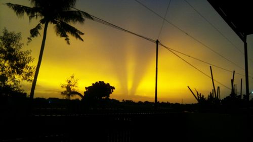 Silhouette palm trees at sunset