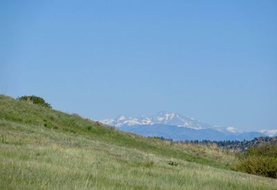 Scenic view of field against clear blue sky
