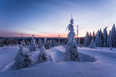 Snow covered field against sky during sunset