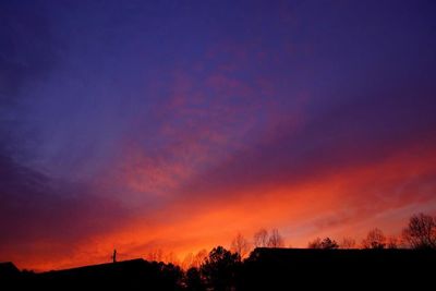 Silhouette of trees at sunset