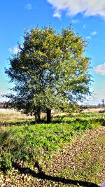 Scenic view of field against cloudy sky