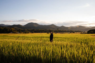 Side view of man standing at rice paddy against sky