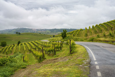 Scenic view of road amidst trees against sky