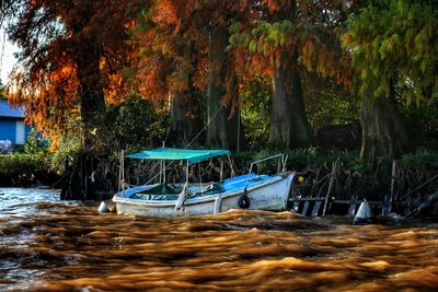 Boats moored on lake in forest during autumn