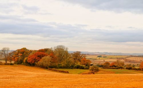 Scenic view of field against sky during autumn