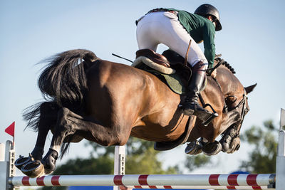 Full length of jockey jumping horse over hurdles against sky