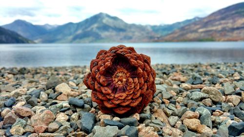 Stack of rocks on shore