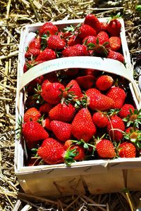 High angle view of strawberries in box