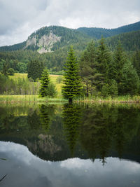 Scenic view of lake by trees against sky