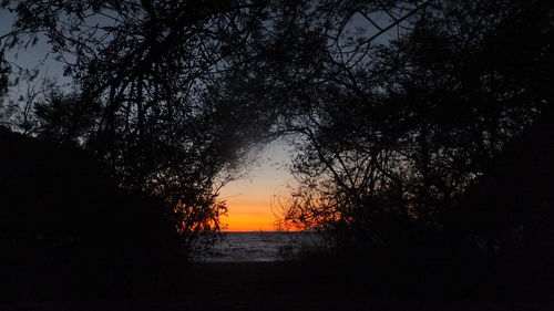 Silhouette trees on landscape against sky during sunset