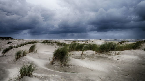 Scenic view of landscape against storm clouds