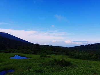 Scenic view of grassy field against cloudy sky