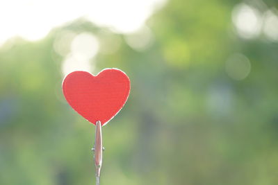 Close-up of red heart shape leaf