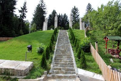 Footpath amidst trees