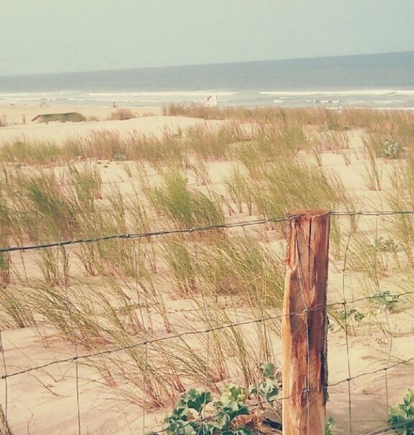 sea, horizon over water, water, beach, tranquility, tranquil scene, shore, scenics, nature, beauty in nature, sand, plant, clear sky, grass, sky, fence, idyllic, day, outdoors, wood - material