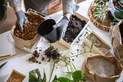 Cropped hand of man preparing food on table