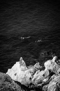 High angle view of people swimming in sea