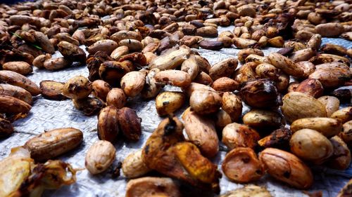 Full frame shot of roasted coffee