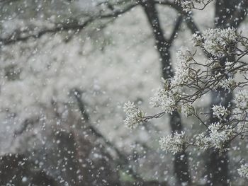 Close-up of wet glass window during rainy season