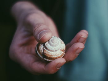 Close-up of snail on hand