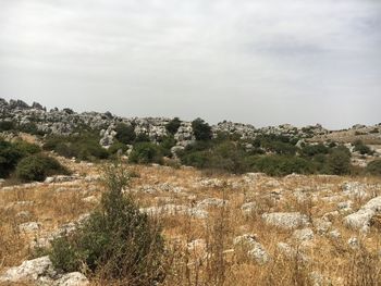 Scenic view of rugged field against sky