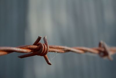 Close-up of barbed wire