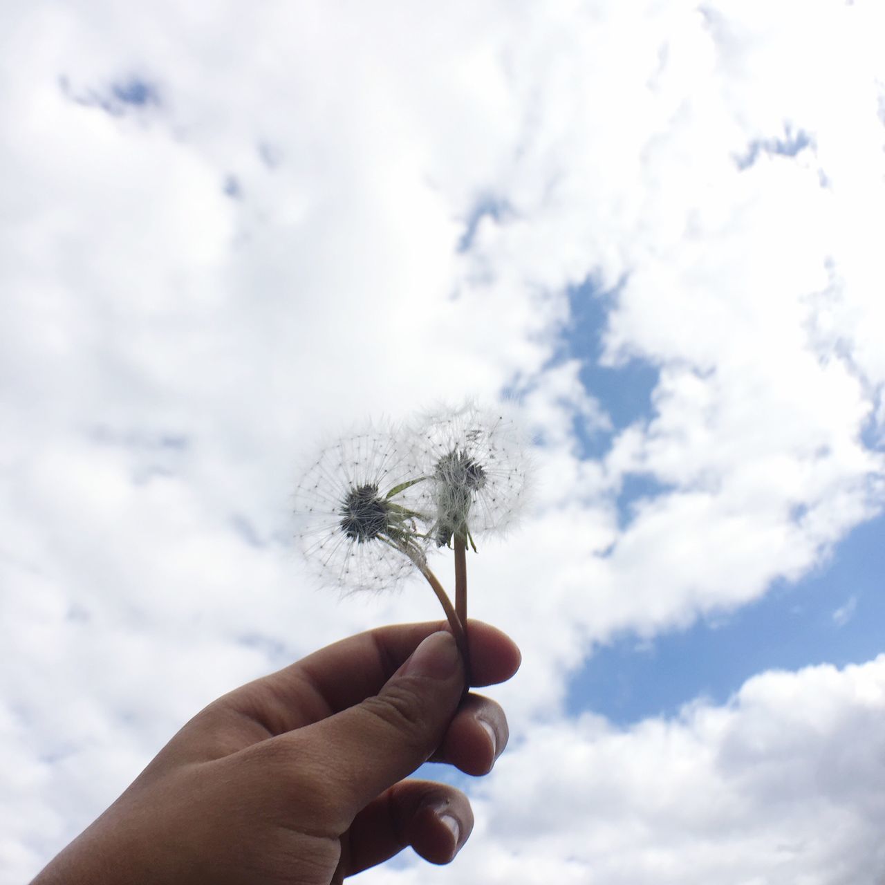 person, holding, part of, human finger, cropped, personal perspective, unrecognizable person, sky, low angle view, cloud - sky, close-up, nature, cloud, outdoors, lifestyles, leisure activity, day