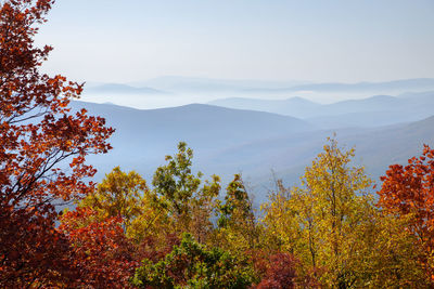 Scenic view of trees against sky during autumn