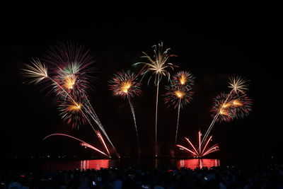 Firework display at night