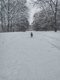 View of a dog on snow covered landscape