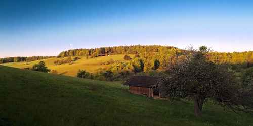 Scenic view of field against clear sky