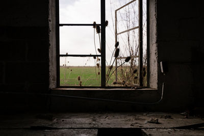 View of building through window