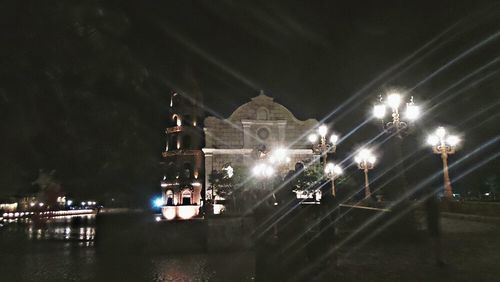 Illuminated trees at night