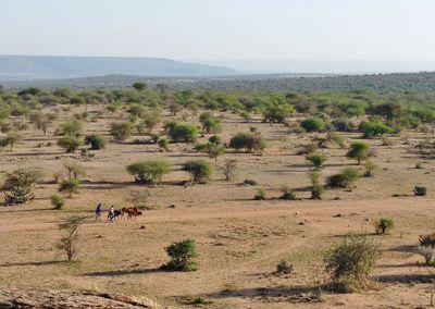 People on field against clear sky