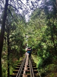 Rear view of woman walking on railroad track amidst trees