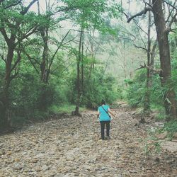 Rear view of man standing in forest